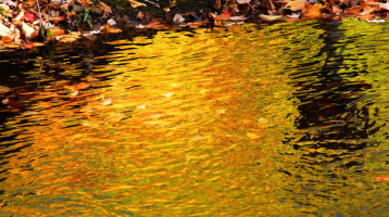 goldenwater_image
